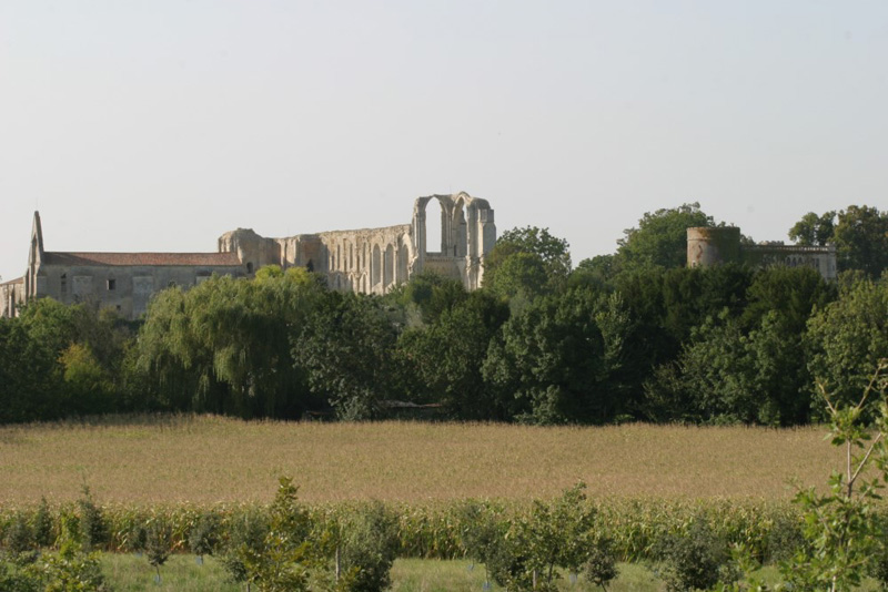 Maillezais et son abbaye près du camping